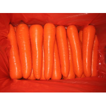 300g y más Zanahoria fresca